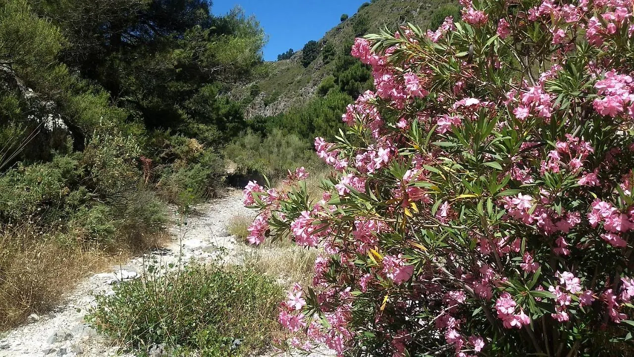Casa Trigo Villa Competa Holiday home